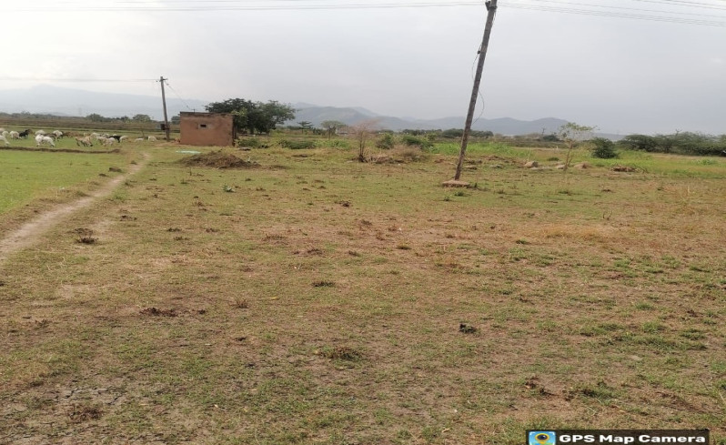  3 Acre Agricultural/Farm Land for Sale in Pallapatti, Virudhunagar