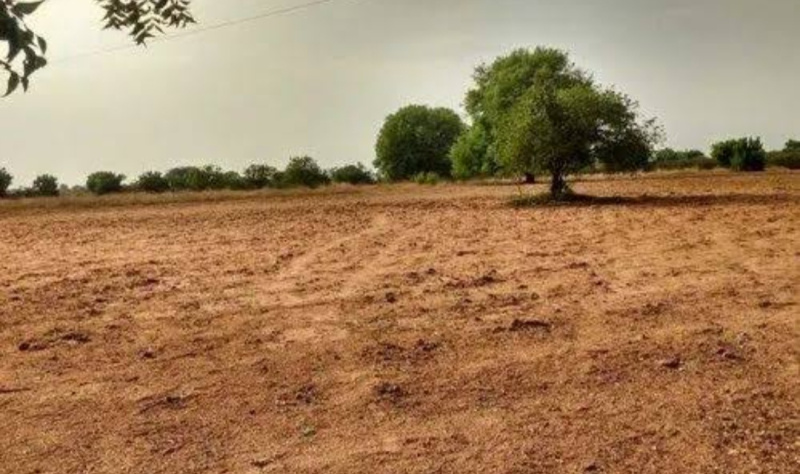 Residential Plot 8 Bigha for Sale in Jewar, Gautam Buddha Nagar