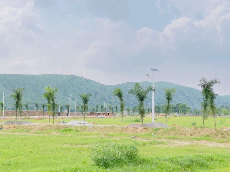 2 BHK Farm House 1216 Sq. Yards for Sale in Naugaon, Alwar