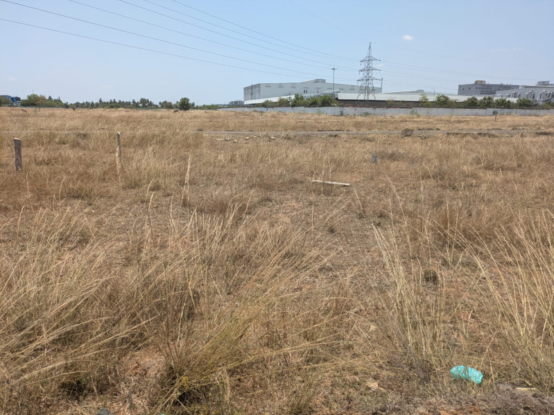  1200 Sq.ft. Residential Plot for Sale in Viralimalai, Pudukkottai