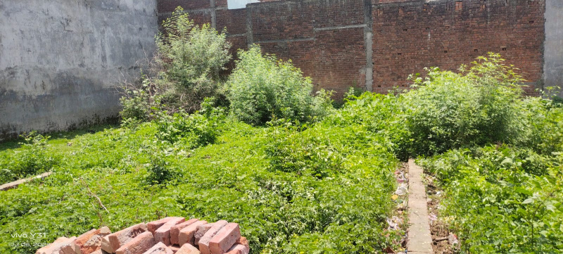  Residential Plot 1500 Sq.ft. for Sale in Kunraghat, Gorakhpur