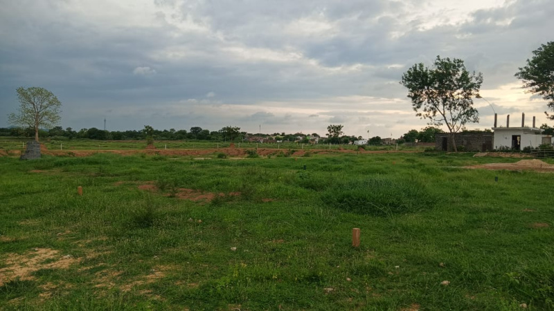  24 Guntha Agricultural/Farm Land for Sale in Kondurg, Rangareddy