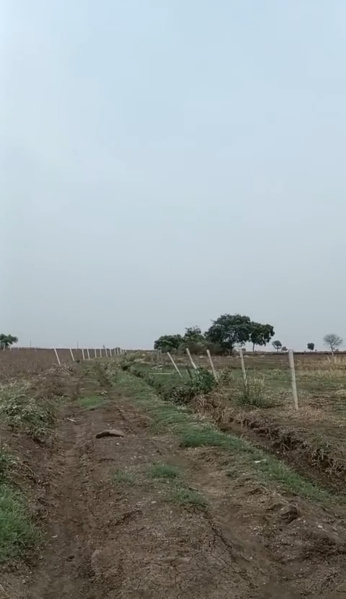  24 Guntha Residential Plot for Sale in Kondurg, Rangareddy