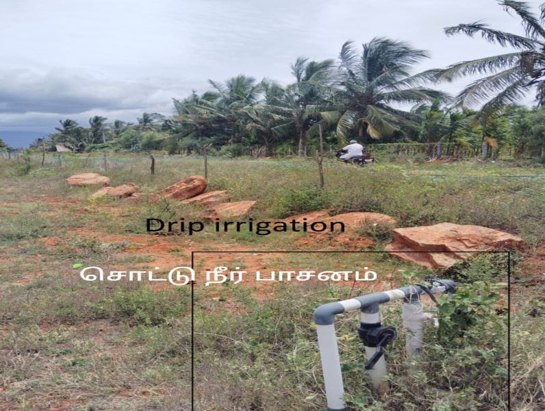  Agricultural Land 7 Acre for Sale in Sathyamangalam, Erode