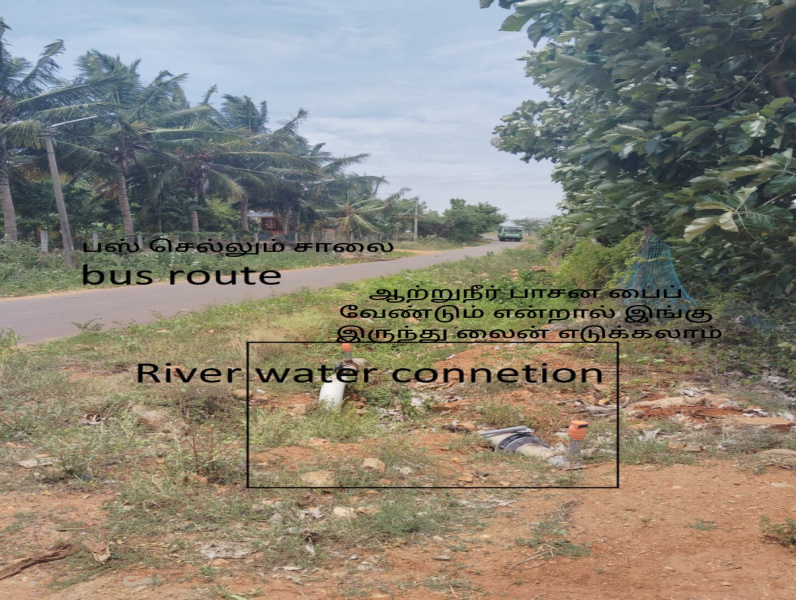  Agricultural Land 7 Acre for Sale in Sathyamangalam, Erode
