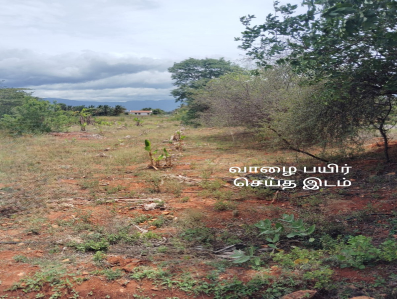 Agricultural Land 7 Acre for Sale in Sathyamangalam, Erode