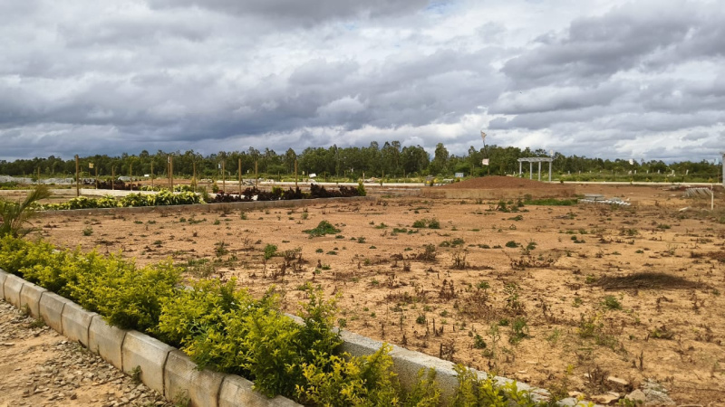  1200 Sq.ft. Residential Plot for Sale in Hoskote, Bangalore