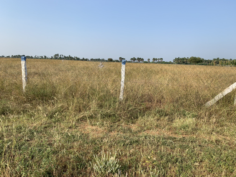  Agricultural Land 1 Acre for Sale in Nanguneri, Tirunelveli