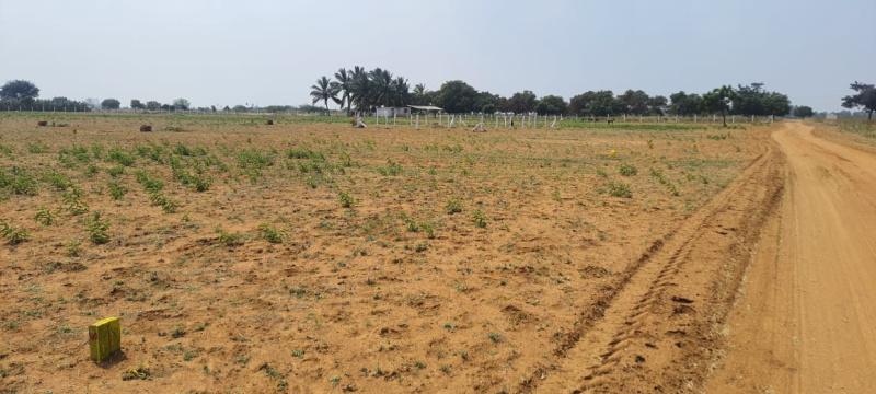  Residential Plot 6 Cent for Sale in Nanguneri, Tirunelveli