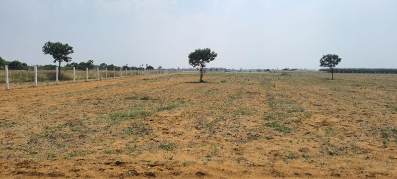  Residential Plot 6 Cent for Sale in Nanguneri, Tirunelveli