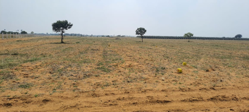  Residential Plot 6 Cent for Sale in Nanguneri, Tirunelveli