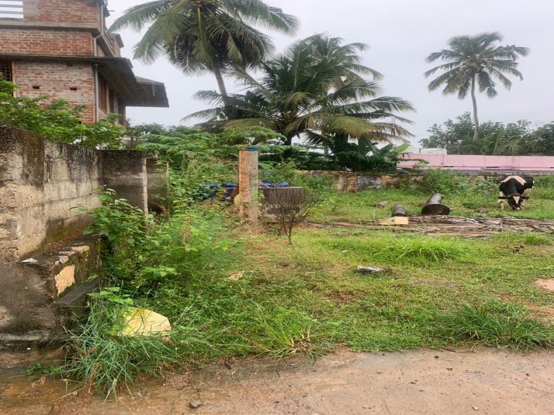  8 Cent Residential Plot for Sale in Neyyoor, Kanyakumari