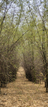  Agricultural Land for Sale in Itarsi, Hoshangabad
