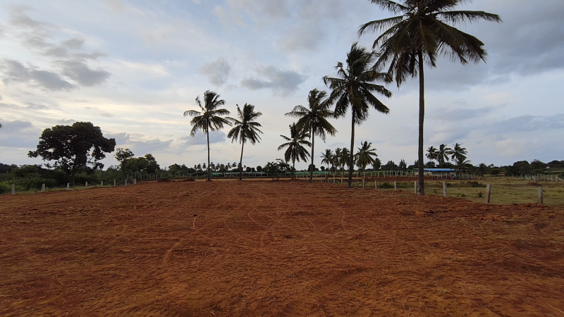  55539 Sq.ft. Agricultural/Farm Land for Sale in Hoskote, Bangalore
