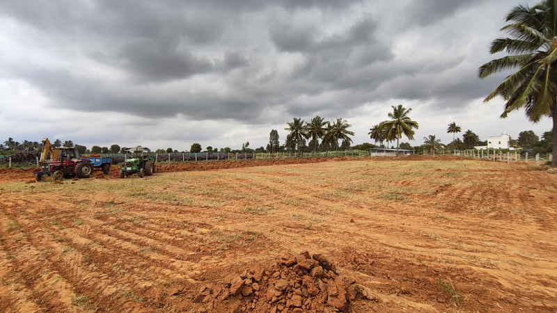  55539 Sq.ft. Agricultural/Farm Land for Sale in Hoskote, Bangalore