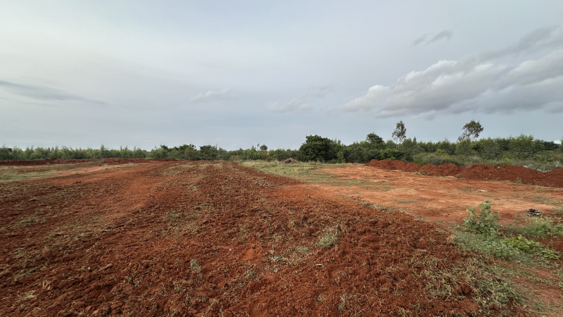  37 Guntha Agricultural/Farm Land for Sale in Hoskote, Bangalore