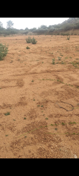  Agricultural Land 4 Acre for Sale in Madhugiri, Tumkur