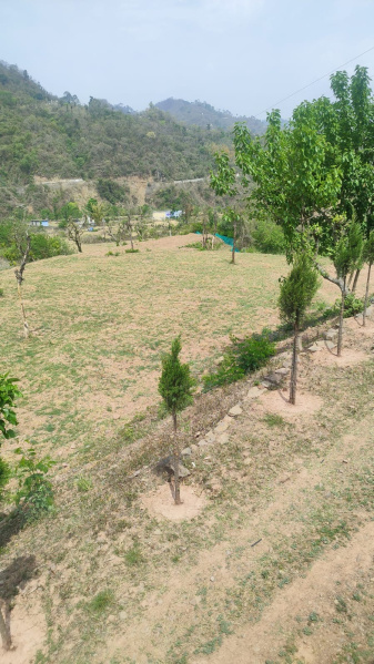  Residential Plot 8 Bigha for Sale in Morni Hills, Panchkula