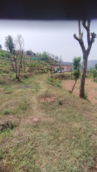  Residential Plot 8 Bigha for Sale in Morni Hills, Panchkula