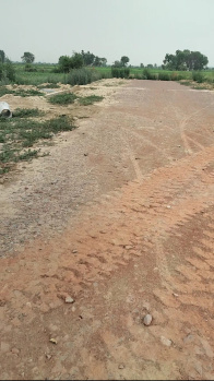  Residential Plot for Sale in Dankaur, Gautam Buddha Nagar