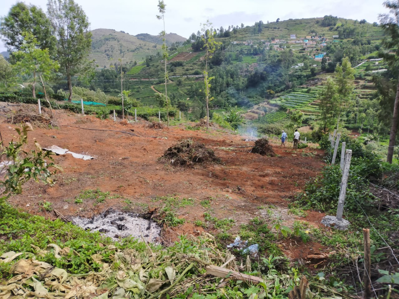  Agricultural Land 30 Cent for Sale in Avalanche Road, Ooty