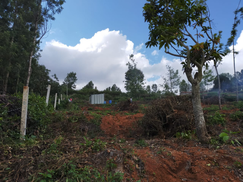  Agricultural Land 30 Cent for Sale in Avalanche Road, Ooty