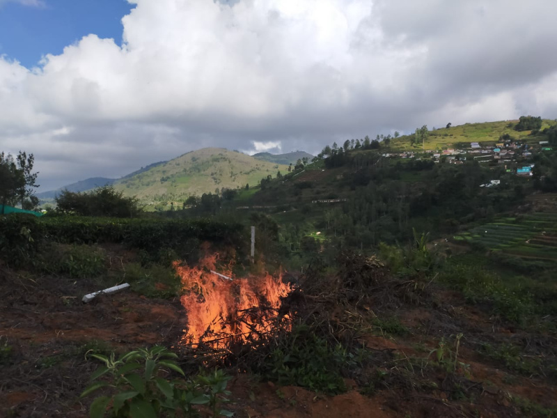 Agricultural Land 30 Cent for Sale in Avalanche Road, Ooty