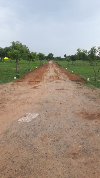  Agricultural Land 10028 Sq.ft. for Sale in Tindivanam, Villupuram