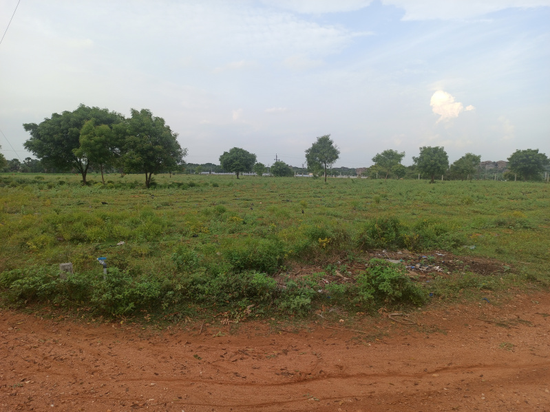  Agricultural Land 10028 Sq.ft. for Sale in Tindivanam, Villupuram