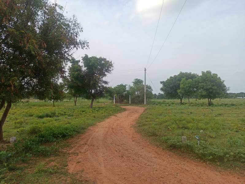  Agricultural Land 10028 Sq.ft. for Sale in Tindivanam, Villupuram