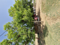  Residential Plot for Sale in Phagi, Jaipur