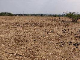  Agricultural Land for Rent in MIDC, Satara