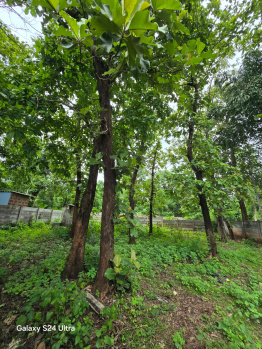 1 RK Farm House for Sale in Basavanagudi, Shimoga
