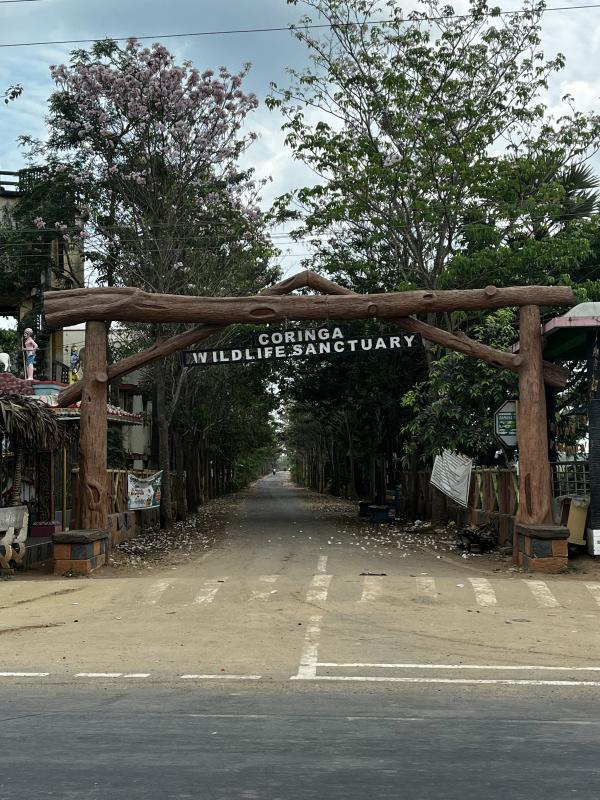  Agricultural Land 90 Cent for Sale in Turangi, Kakinada