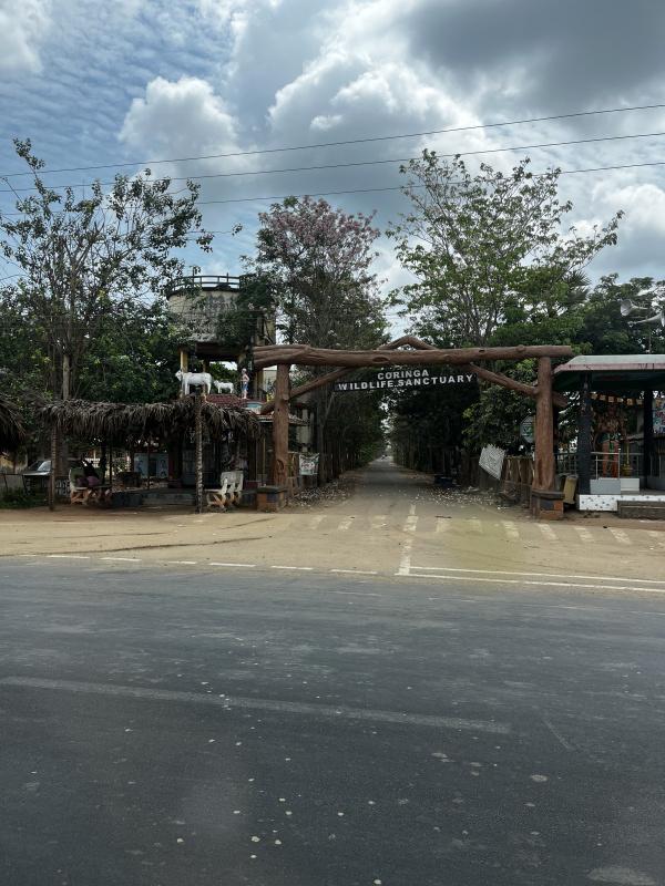  Agricultural Land 90 Cent for Sale in Turangi, Kakinada