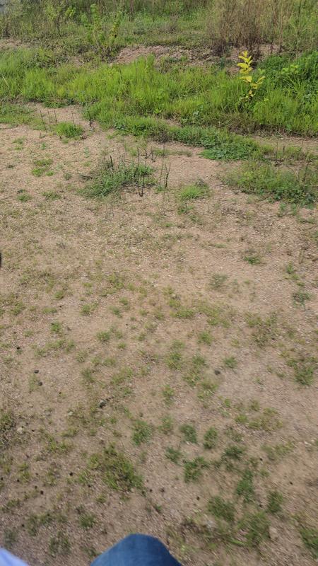  Residential Plot 1210 Sq. Yards for Sale in Moinabad, Hyderabad