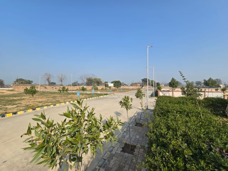  Residential Plot 425 Sq. Yards for Sale in Tijara, Alwar
