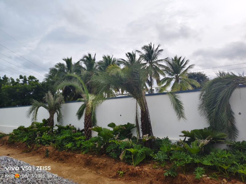  Residential Plot 183 Sq. Yards for Sale in Tukkuguda, Hyderabad