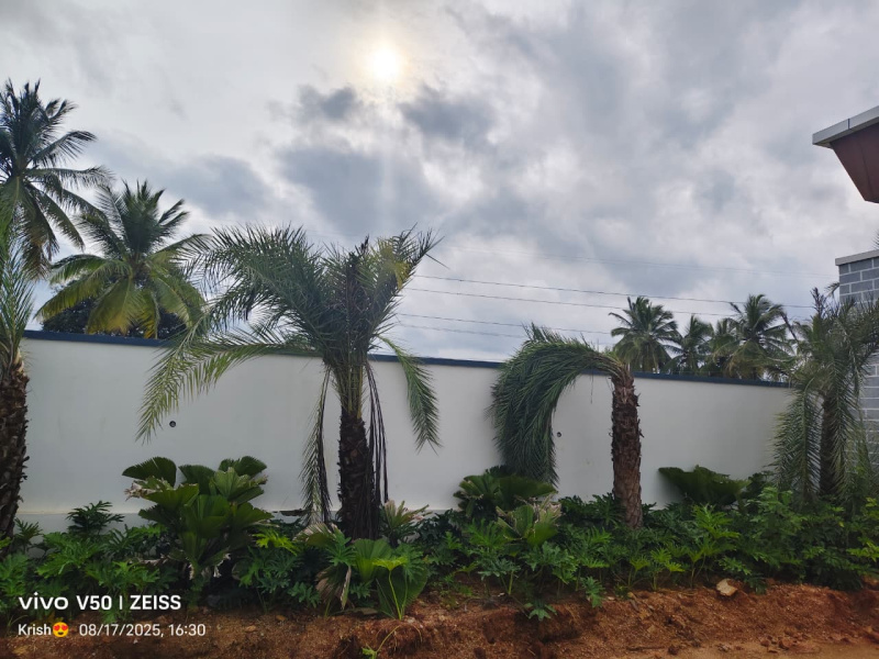 Residential Plot 183 Sq. Yards for Sale in Tukkuguda, Hyderabad