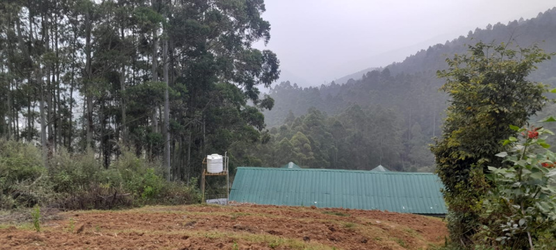  Commercial Land 72 Sq.ft. for Sale in Devikulam, Idukki