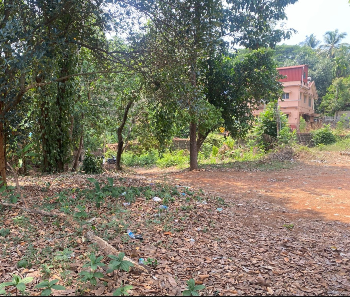  Residential Plot 38 Cent for Sale in Bendoor, Mangalore
