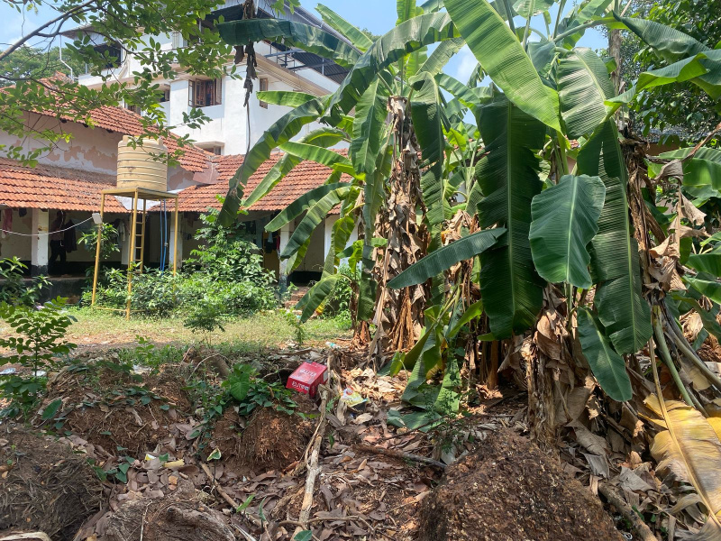  Residential Plot 38 Cent for Sale in Bendoor, Mangalore