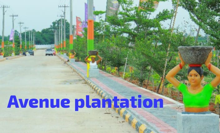  Residential Plot 150 Sq. Yards for Sale in Chotuppal, Hyderabad