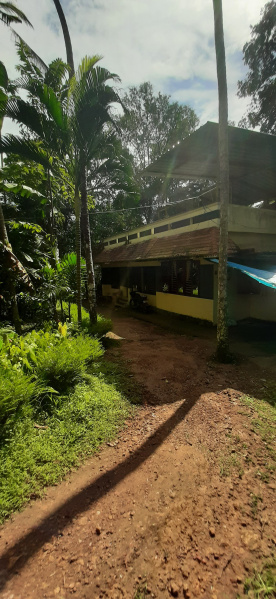 3 BHK House 18 Cent for Sale in Nettayam, Thiruvananthapuram