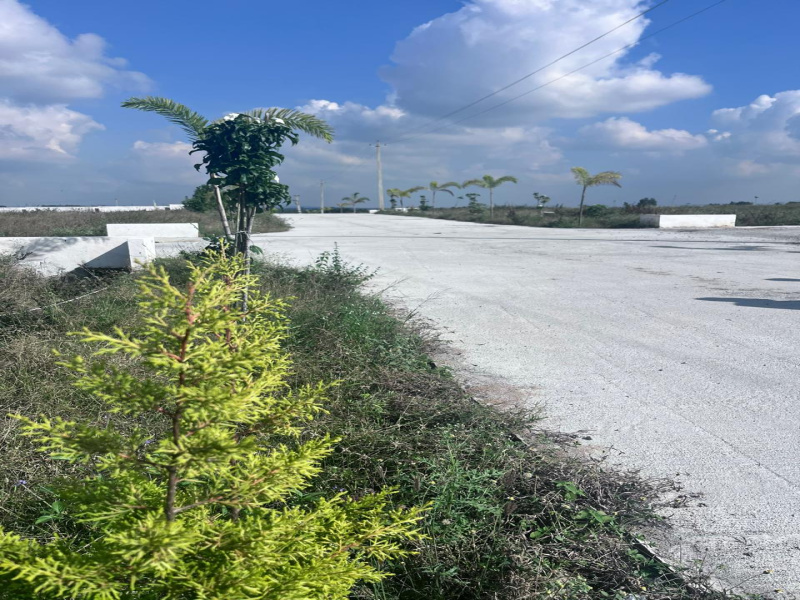 1200 Sq.ft. Residential Plot for Sale in Kolar Road, Bangalore
