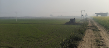 Agricultural Land for Sale in Mawana, Meerut