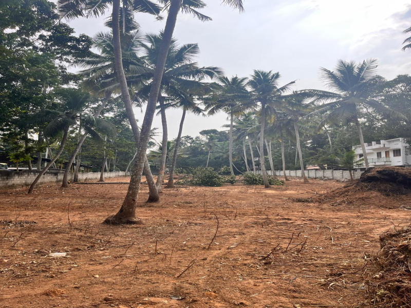 Commercial Land 1 Acre for Sale in Vizhinjam, Thiruvananthapuram