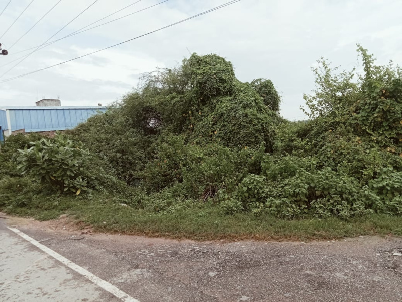 Industrial Land 100 Acre for Sale in Amausi, Lucknow