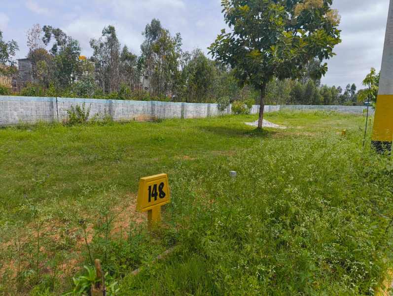  Residential Plot 1200 Sq.ft. for Sale in Jakkur, Bangalore