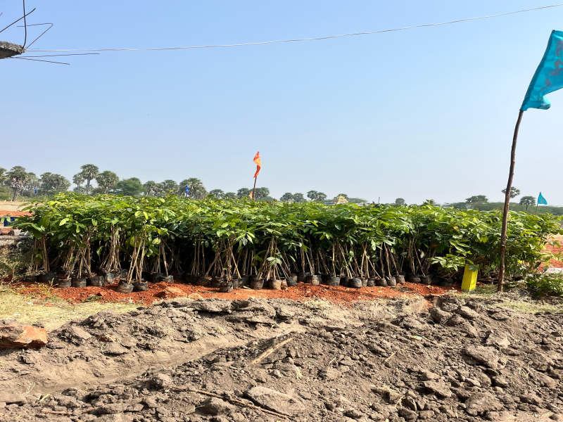  121 Sq. Yards Residential Plot for Sale in Sagar Highway, Hyderabad